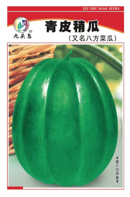 青皮稍瓜