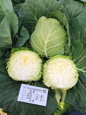 芳华