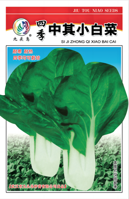 四季中其小白菜