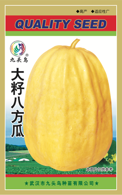 大籽八方瓜