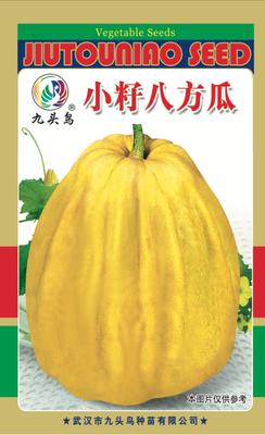 小籽八方瓜