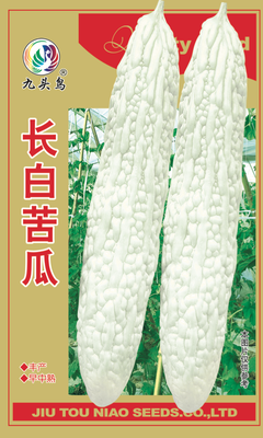 长白苦瓜