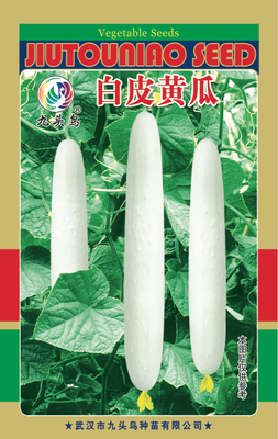 白皮黄瓜