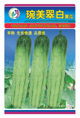 琬美翠白黄瓜