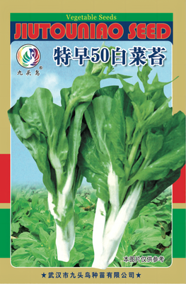 特早50白菜苔